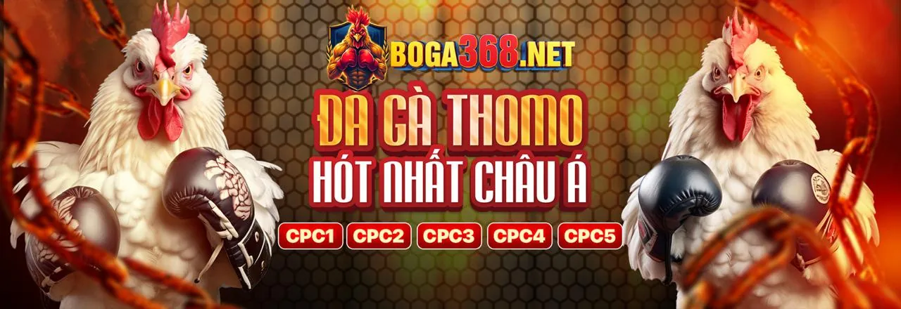 Cờ bạc có trách nhiệm tại Nohu90, Nohu